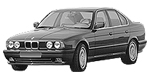 BMW E34 C2003 Fault Code